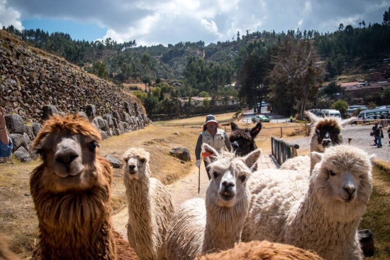 Cusco City Tour - Key Points