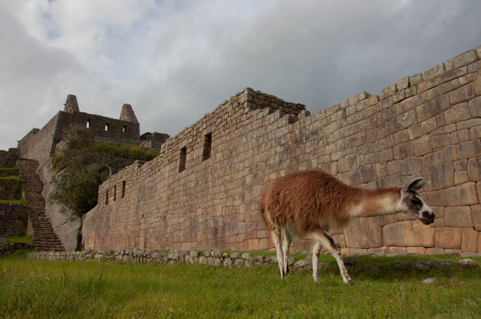 Cusco: Excursion to Machu Picchu by Tourist Train + Tickets - Exploring Machu Picchu Independently