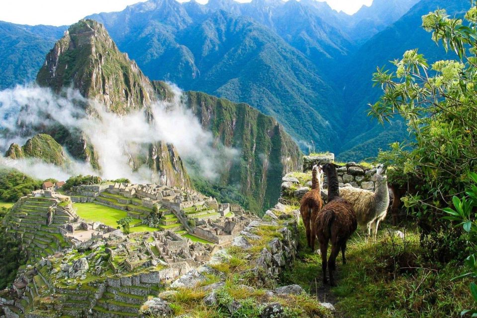 Cusco: Machu Picchu Full Day + Lunch | Private| - Key Points