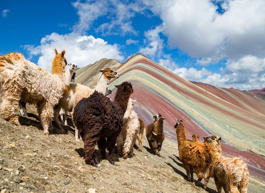 Cusco: MachuPicchu and Humantay Lagoon 6-Days Tour - Transportation Details