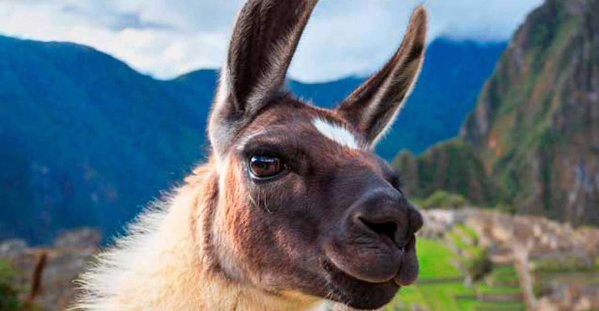 Cusco Magical Cusco in Private 6D | 3 Star Hotel | - Daily Itinerary