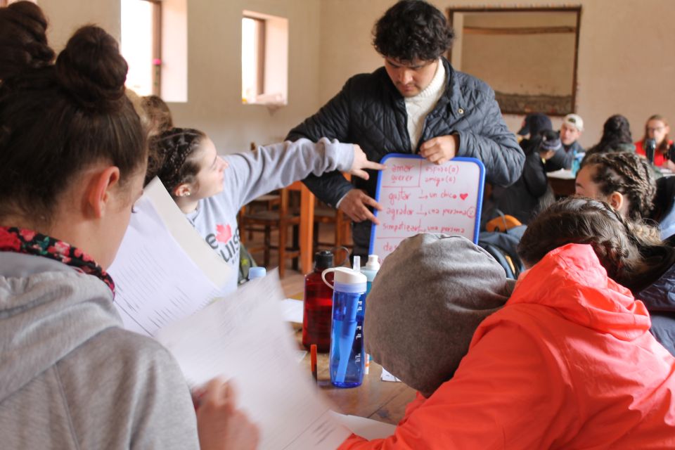 Cusco: Private Spanish Classes and Optional Homestay - Program Highlights