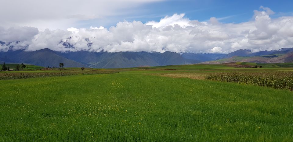 Cusco: Sacred Valley of the Incas Experience - Pricing and Reservation Options