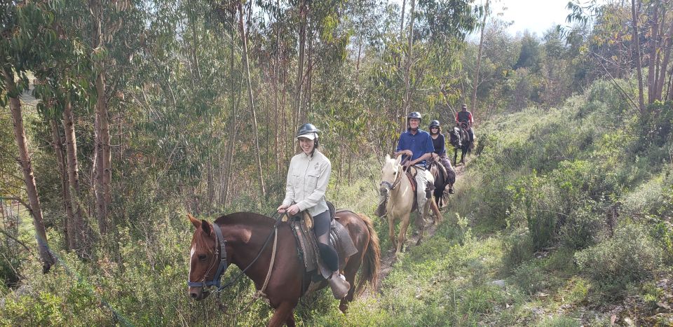 Cusco: Sacsayhuaman Guided Tour and 1-Hour Horseback Ride - Key Points