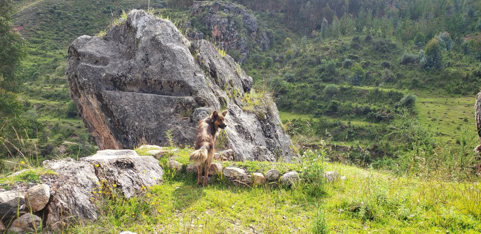 Cusco: Sacsayhuaman Guided Tour and 1-Hour Horseback Ride - Highlights and Experiences