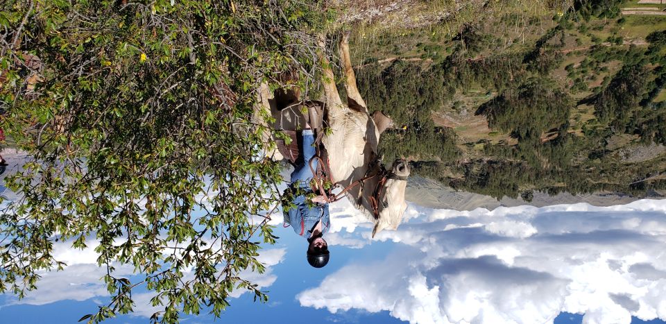 Cusco: Sacsayhuaman Guided Tour and 1-Hour Horseback Ride - Customer Reviews