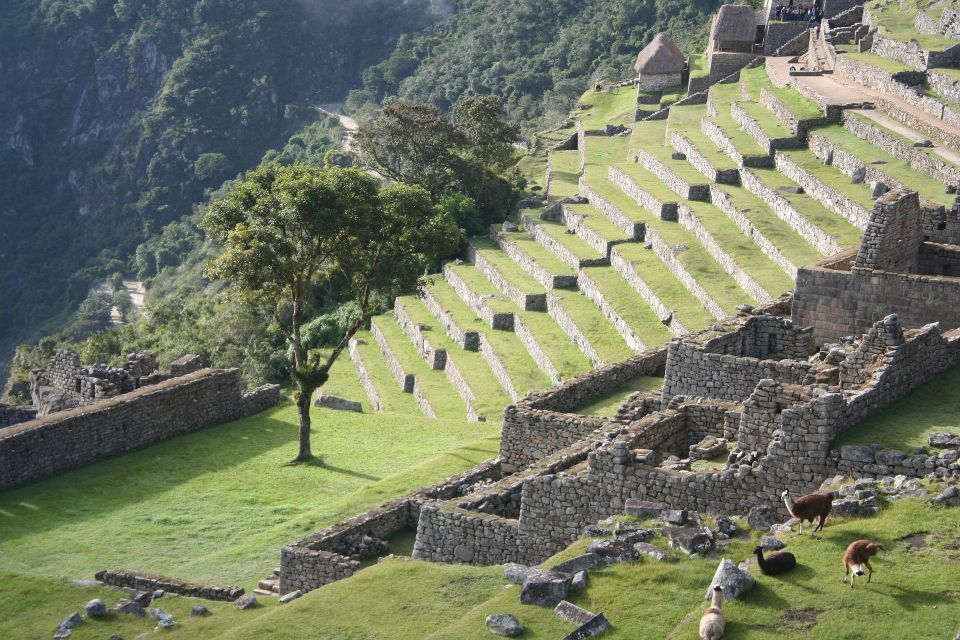 Cusco: Salkantay Trek 4 Days 3 Nights to Machu Picchu & Meals - Frequently Asked Questions