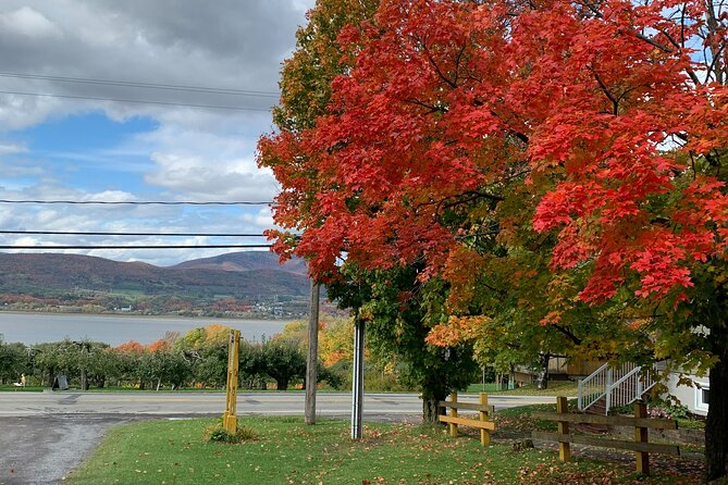 Custom 4 Hour Tour With a Private Driver in Quebec - Frequently Asked Questions