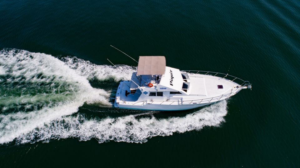 Custom 46 Boat in Puerto Vallarta and Nuevo Vallarta - Group Size and Suitability