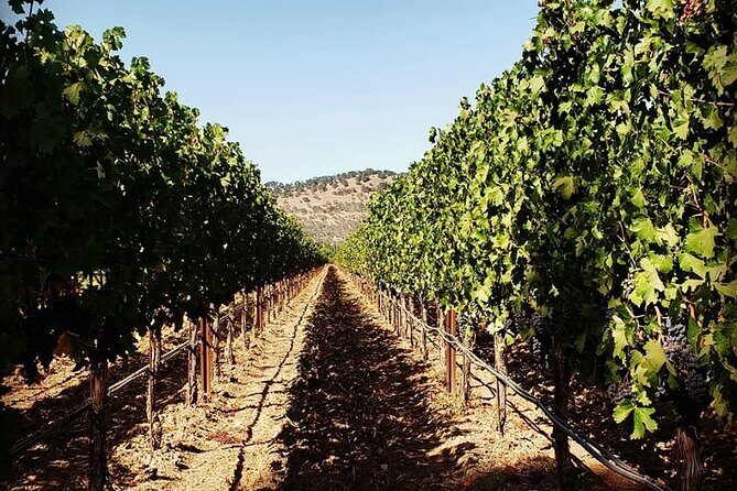 Custom 6-Hour Napa Valley Wine Tour in a Luxury Vehicle - An In-Depth Look at the Napa Valley Experience