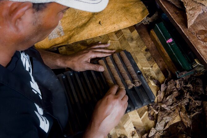 Custom Blend Cigar Rolling Experience in Miami - FAQ