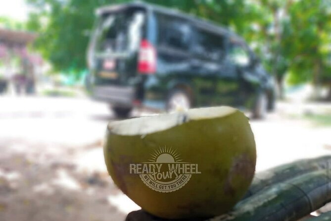 Custom COMBO to Mystic Mountain, Dunns River Falls & Blue Hole - Relaxing at Blue Hole