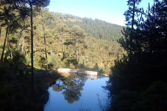 Custom Hiking in the Lions Desert - Key Highlights of the Tour