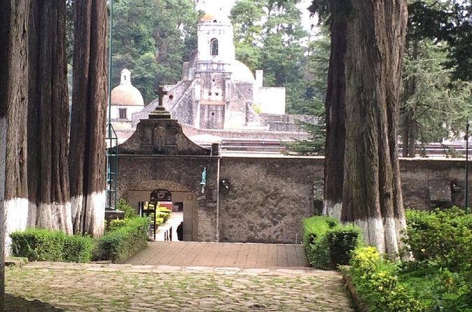 Custom Hiking in the Lions Desert - Planning Your Day: Practical Tips