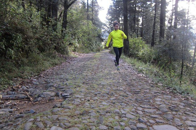 Custom Hiking in the Lions Desert - Who Will Love This Tour?