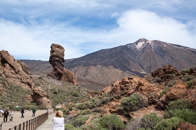 Custom Private Full-Day Tour Into the Heart of Tenerife - Tour Accessibility