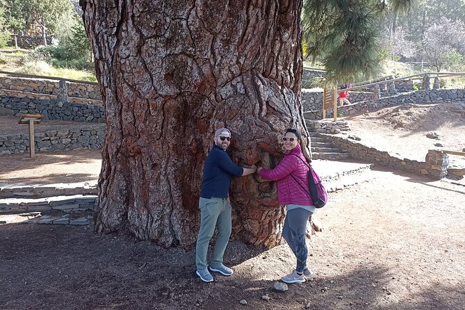 Custom Private Tenerife Volcano Car Tour - Traveler Reviews and Ratings
