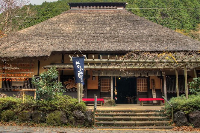 Custom Private Tour in Hakone With Optional Hot Springs Experience - Relaxing in a Local Onsen