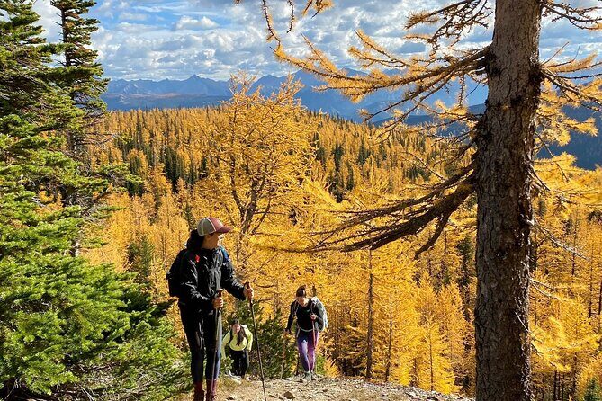 Custom Rocky Mountains Private Car Tour from Calgary - The Itinerary: A Deep Dive into What You’ll Experience