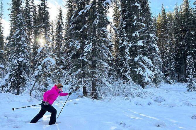 Custom Rocky Mountains Private Car Tour from Calgary - Who This Tour Is Best For