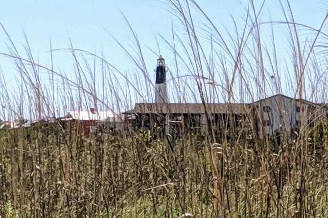 Custom Savannah Private Tour - Accessibility and Requirements