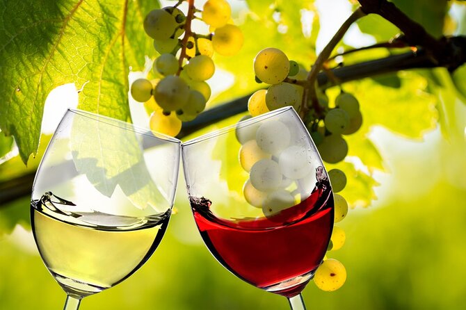 Custom Wine, Beer, and Spirits Tours - What to Expect on Your Tour