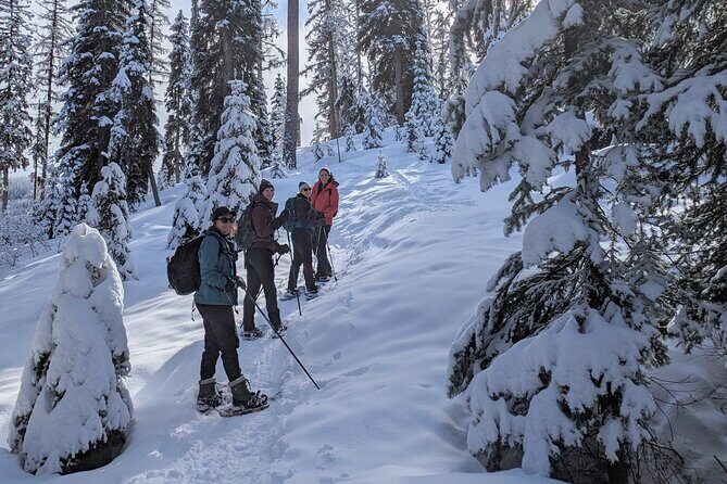 Custom Winter Hiking Trip Planning and Rental Equipment - The Experience: What to Expect from This Custom Winter Trail Adventure
