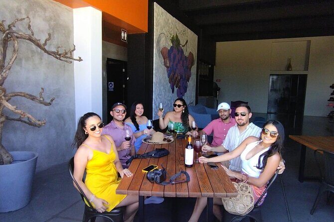 Customizable Guadalupe Wine Valley Tour - Key Points