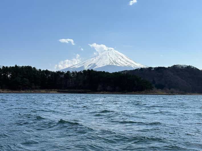 Customizable Mount Fuji Private Tour/ Eng Speaking Driver - Additional Services and Inclusions