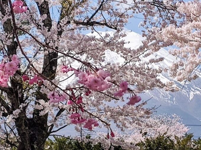 Customizable Mount Fuji Private Tour/ Eng Speaking Driver - Tips for a Successful Visit