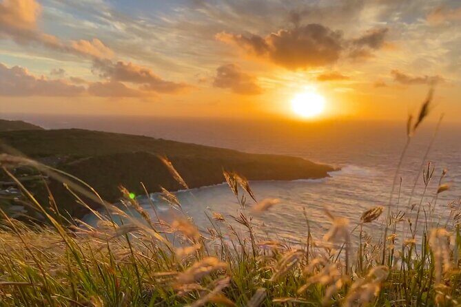 Customizable Private Tour Oahu - 1 to 6 passengers - Practical Tips