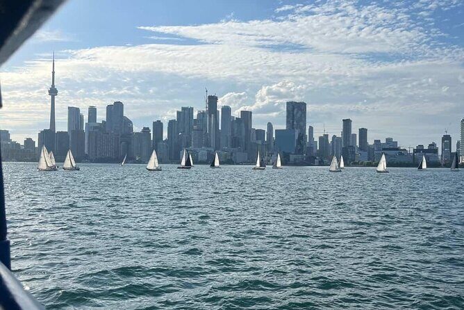 Customizable Walking Tour of Toronto's Hidden Gems - A Deep Dive into the Tour Itinerary