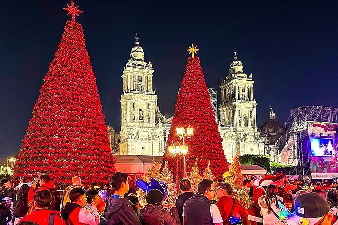 Customized 8 Days Escorted Mexico Family Tour - Wrapping Up in Huatulco