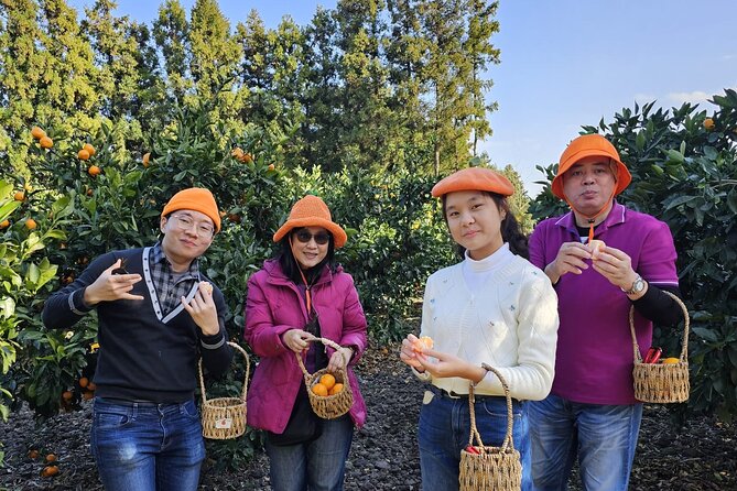 Customized Private Tour in Jeju Island - Exclusions to Consider
