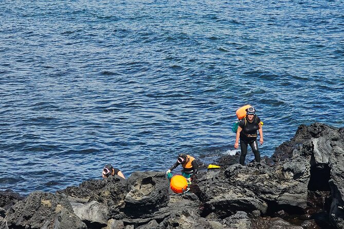 Customized Private Tour in Jeju Island - Contact Information for Inquiries