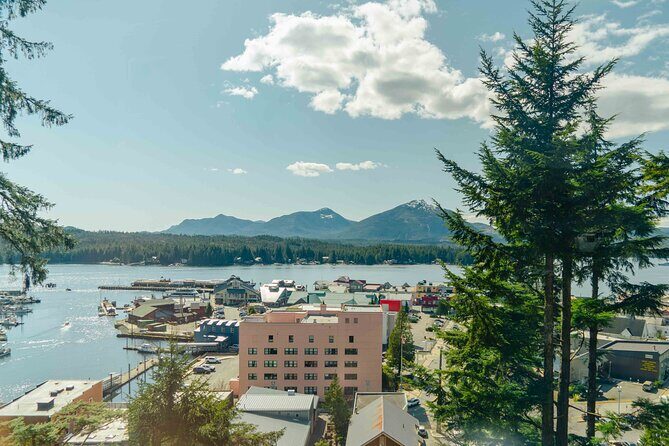 Customized Private Tour in Minibus - An In-Depth Look at the Tour Experience