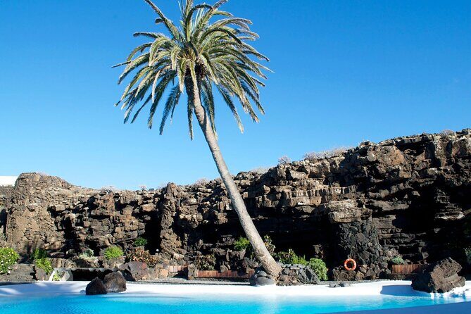 Customized Private Tours of Lanzarote island - Who Will Love This Tour?