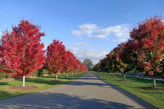 Customized private winery day tour in Yarra Valley at your own choices - In-Depth Look at the Experience