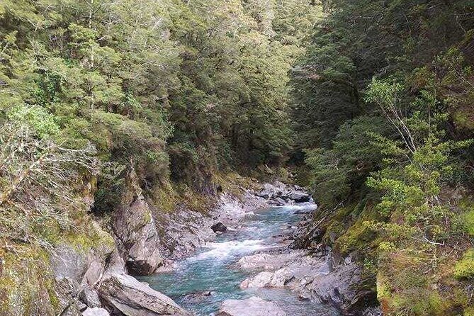 Customized South Island Tour - The Experience: Pros and Cons
