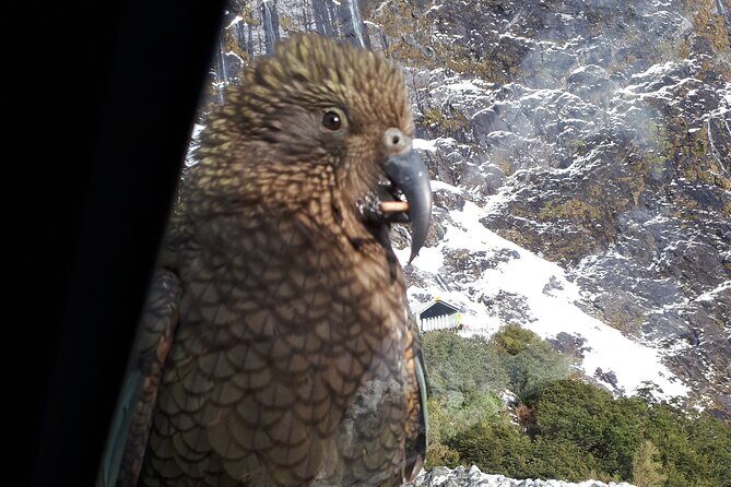 Customized South Island Tour - Final Thoughts