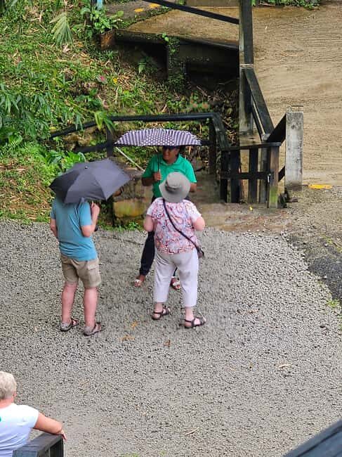 Customized St Lucian Private Island Tour - The Value and Who It’s Best For