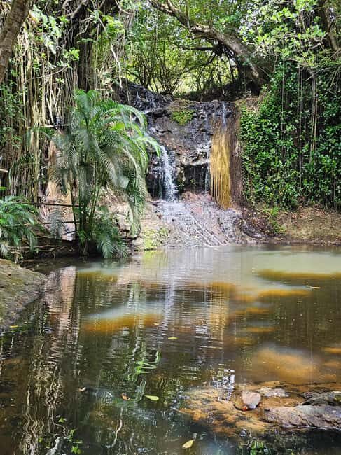 Customized St Lucian Private Island Tour - Final Thoughts