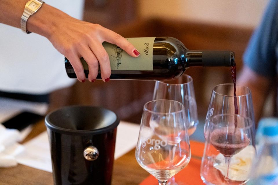 Custoza: Organic Wine Tasting With Vineyard and Cellar Tour - Exploring the Vineyard