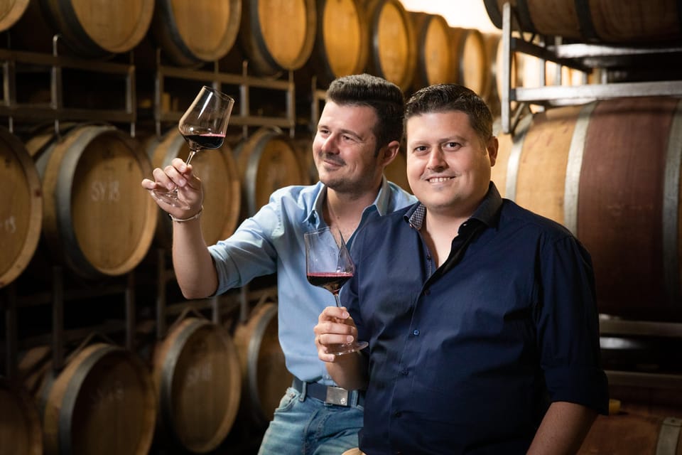 Cuvee your own wine with a top Burgenland winegrower - A Well-Rounded Tour Through Burgenlands Winemaking