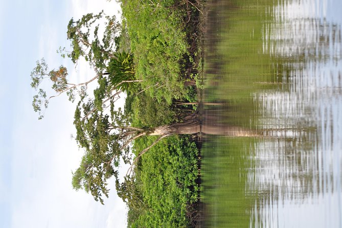 Cuyabeno 4 Day Jungle Tour - Exploring the Cuyabeno Wildlife Reserve