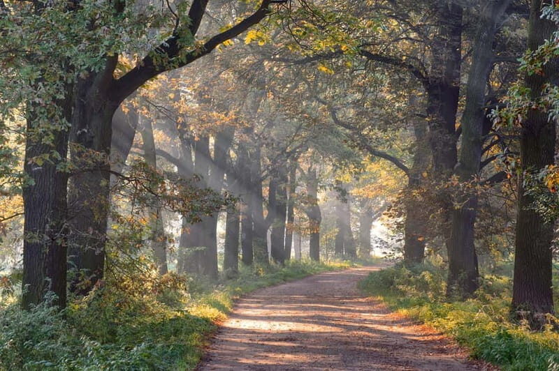 Cycle tour: Guided cycle tour with yoga in the great outdoors - A Closer Look at the Itinerary