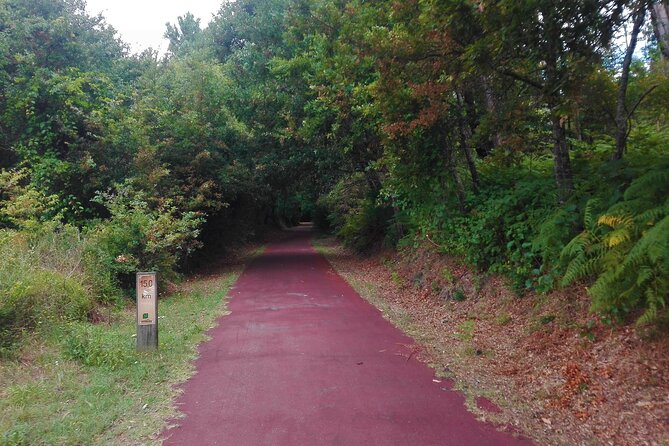 Cycling Ecopista Do Dão One Way, Full-Day From Coimbra - Inclusions