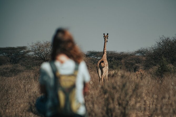 Cycling From Kilimanjaro to Ngorongoro Crater - Exploring the Ngorongoro Crater
