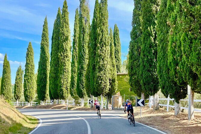 Cycling in Tuscany TOP experience - 1 day race bike rental - The Review & Feedback from Participants