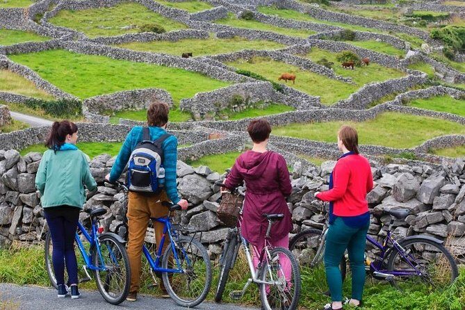 Cycling on Inisheer Island, Aran Islands. Self Guided. Full Day. - Who Will Enjoy This Tour?